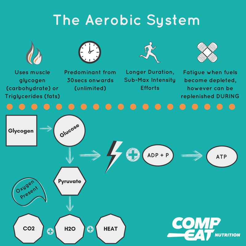 Blog | Event Fuelling (Part One): Our Body Energy Systems ...